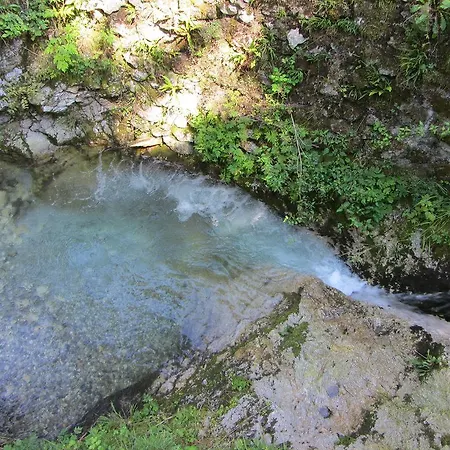 House Dolenja Trebusa