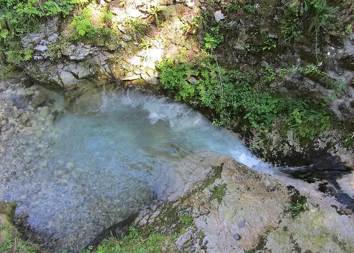 House Dolenja Trebusa