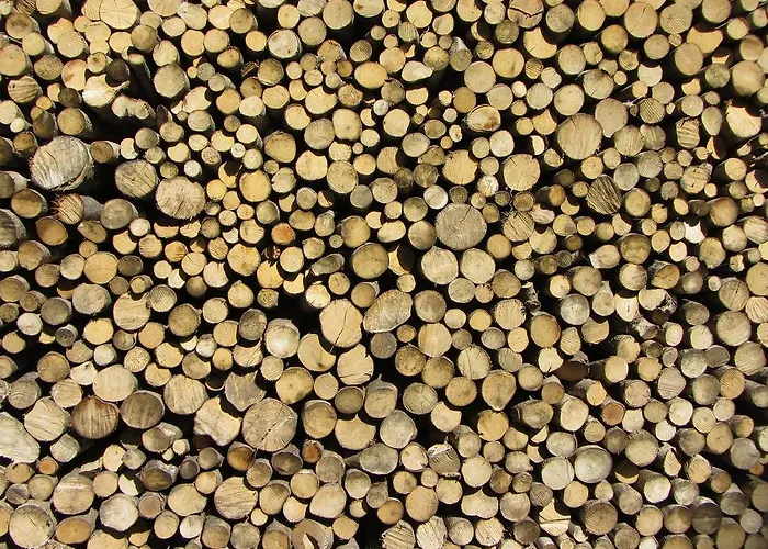 House Dolenja Trebusa