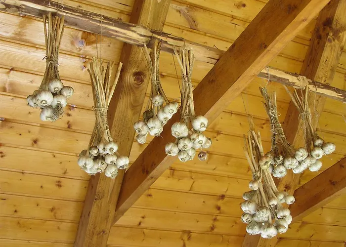 House Dolenja Trebusa