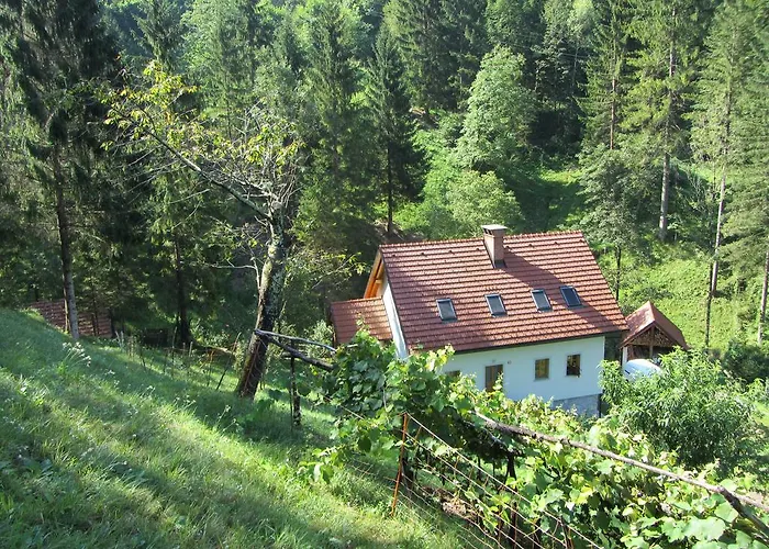 בית כפרי House *